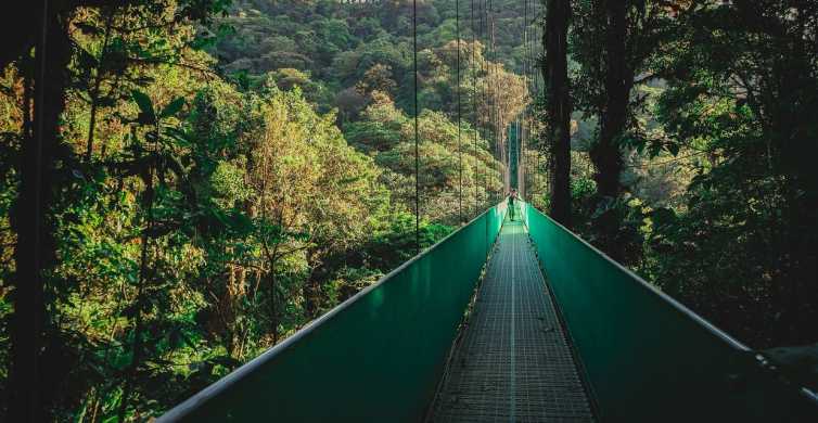 Desde Monteverde: Caminata guiada por el Puente Colgante de Monteverde