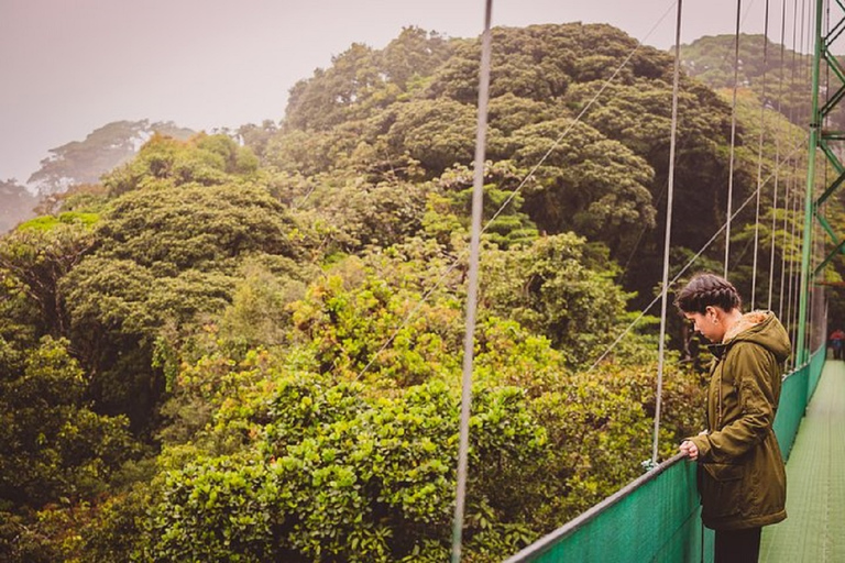 Desde Monteverde: Caminata guiada por el Puente Colgante de MonteverdePaseo por el cielo desde Monteverde