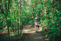 From Monteverde, Monteverde Suspension Bridge Guided Hike - Housity