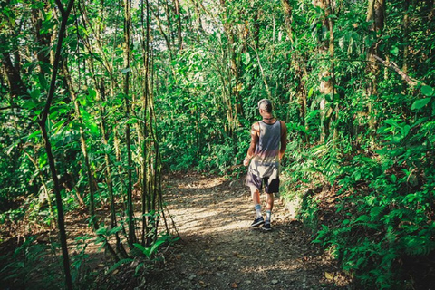 Desde Monteverde: Caminata guiada por el Puente Colgante de MonteverdePaseo por el cielo desde Monteverde