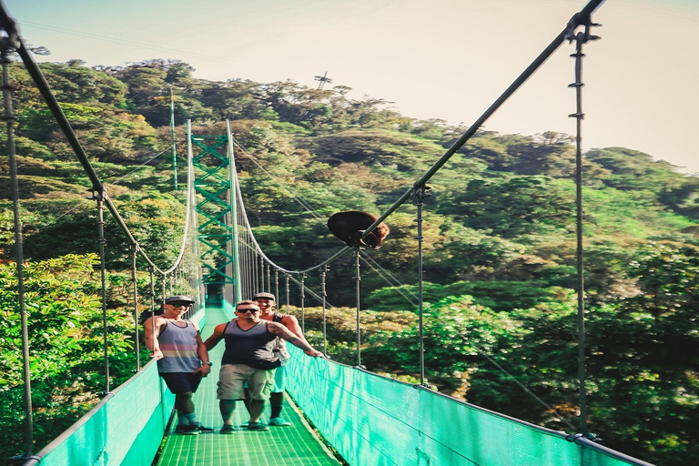 Desde Monteverde: Caminata guiada por el Puente Colgante de MonteverdePaseo por el cielo desde Monteverde