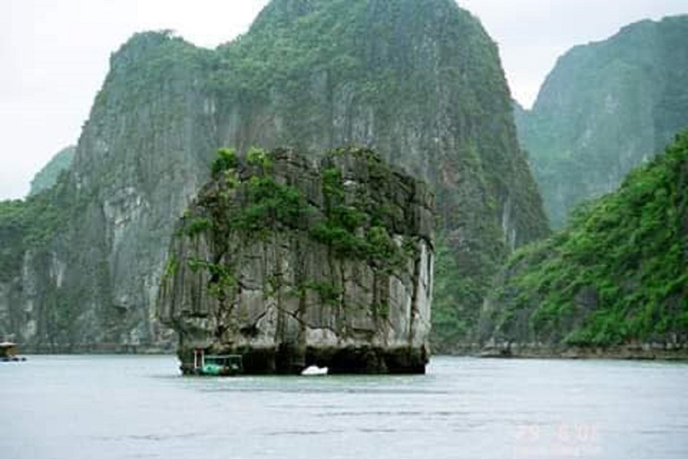 Au départ de Hanoi : Croisière de 3 jours et 2 nuits à la baie de Bai Tu LongOption standard