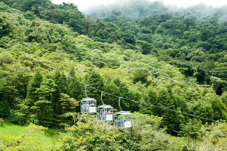 Monteverde: Sky Walk, Sky Tram Y Sky Trek Ziplining Tour | GetYourGuide