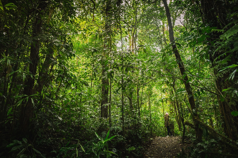 Monteverde: Sky Walk, Sky Tram & Sky Trek Ziplining Tour Monteverde: Skywalk, Sky Tram & Sky Trek Zip lining Tour