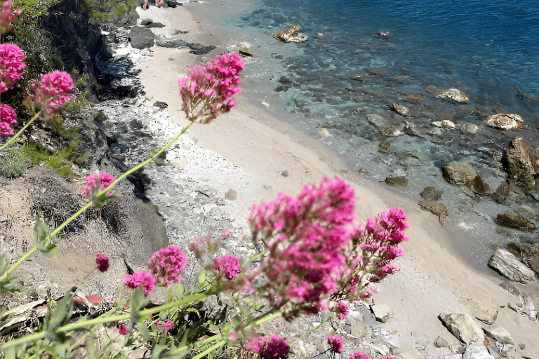 Toulon: Cap Sicié Coastal Hike with Ferry Crossing