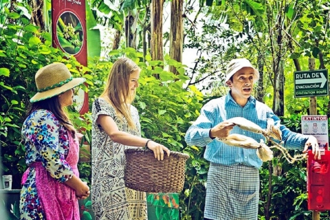 San José : visite de la production de café et dégustation