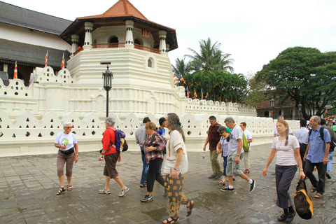 Desde Colombo: tour de 2 días con todo incluido por Kandy y Nuwara EliyaExcursión de 2 días con todo incluido a Kandy y Nuwara Eliya desde Colombo