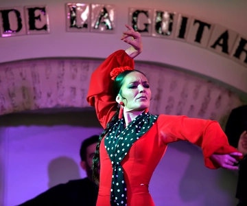 Seville: Ticket to Flamenco Show at La Casa de la Guitarra