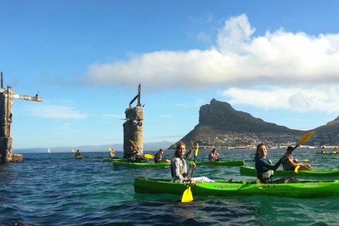 Cape Town: Guided Kayaking in Hout Bay Cape Town: Guided Kayaking in Hout Bay