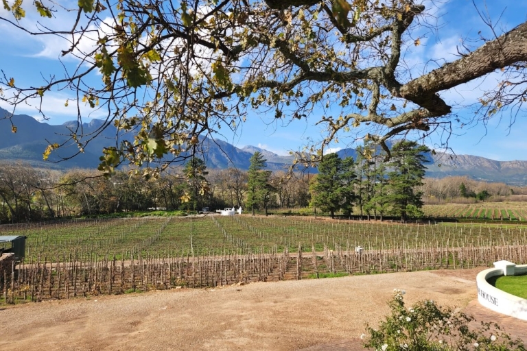 Franschhoek & Stellenbosch : journée de découverte des vins