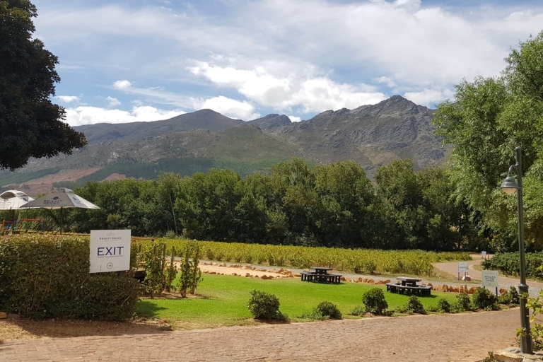 Franschhoek i Stellenbosch: całodniowa wycieczka po winach