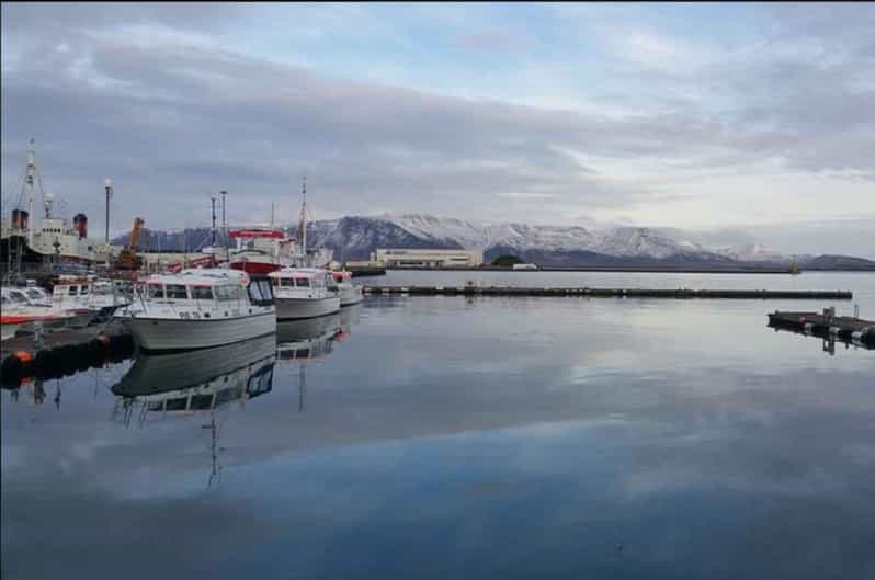 Reykjavik visite à pied audio autoguidée GetYourGuide
