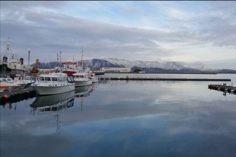 Reykjavik: visite à pied audio autoguidée