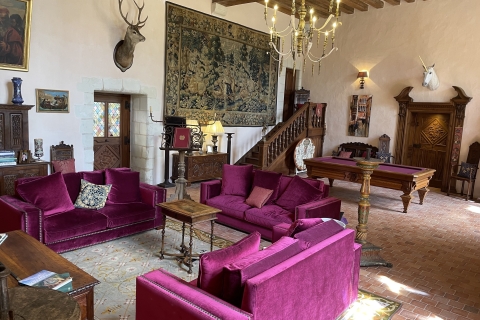 Amboise : Billet d'entrée au Château Gaillard Amboise