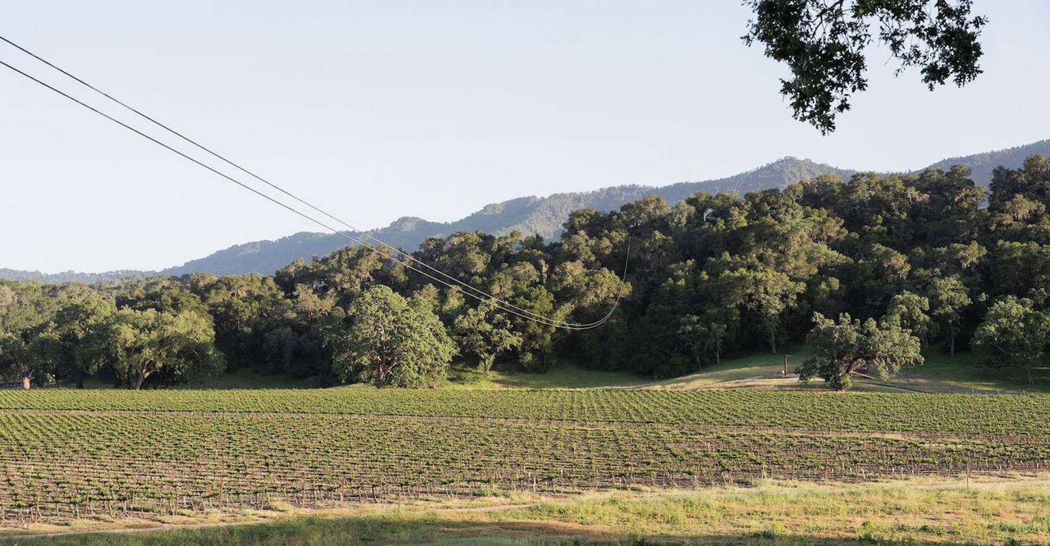 Santa Margarita, Zipline Adventure with 6 Different Ziplines - Housity
