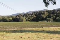 Santa Margarita, Zipline -avontuur met 6 verschillende ritsers - Housity