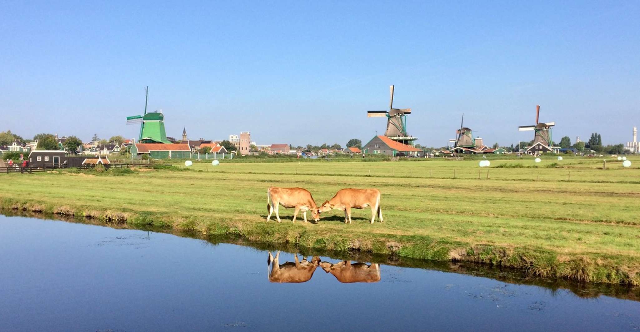 Aldeas y molinos de viento Zaanse Schans - Hizvo
