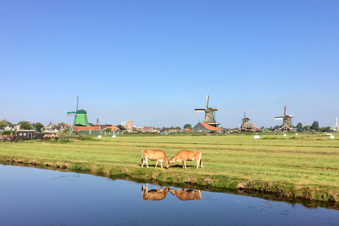 Wioski i wiatraki Zaanse Schans Wycieczka w małej grupieVolendam, Marken i wiatraki w małej grupie z Amsterdamu