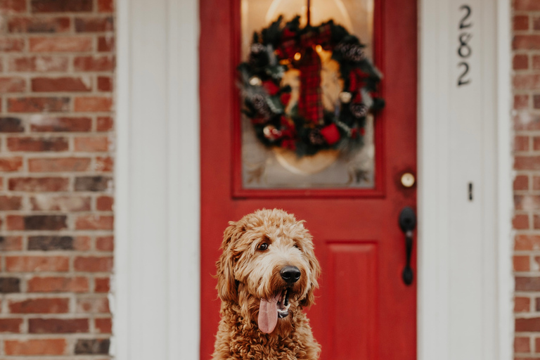 都柏林：神奇圣诞节、神话与传说私人导游