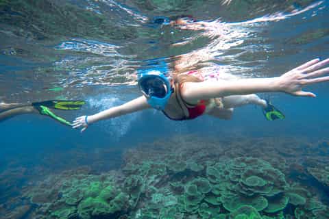Phuket: Phi Phi Tour by Speedboat & Lunch Buffet