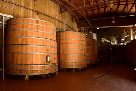 Haras de Pirque Sunset