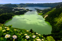 Isola di São Miguel, tour di Sete Cidades di un giorno intero - Hizvo