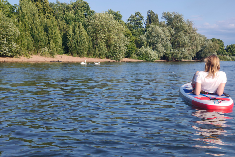 Mainz: Stand Up Paddling Tour op de RijnMainz: Stand Up Paddling tocht op de Rijn