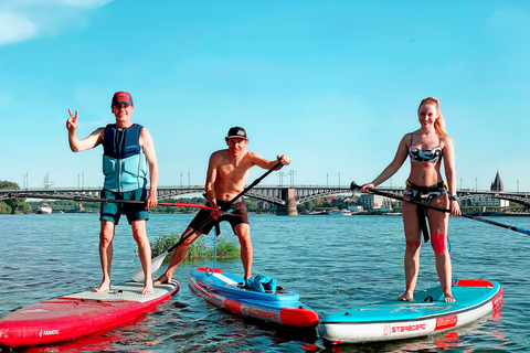 Mainz: passeio de stand up paddle no rio RenoMainz: Passeio de Stand Up Paddle no Rio Reno