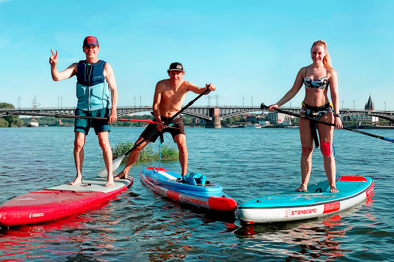 Mainz: Stand Up Paddling Tour op de RijnMainz: Stand Up Paddling tocht op de Rijn