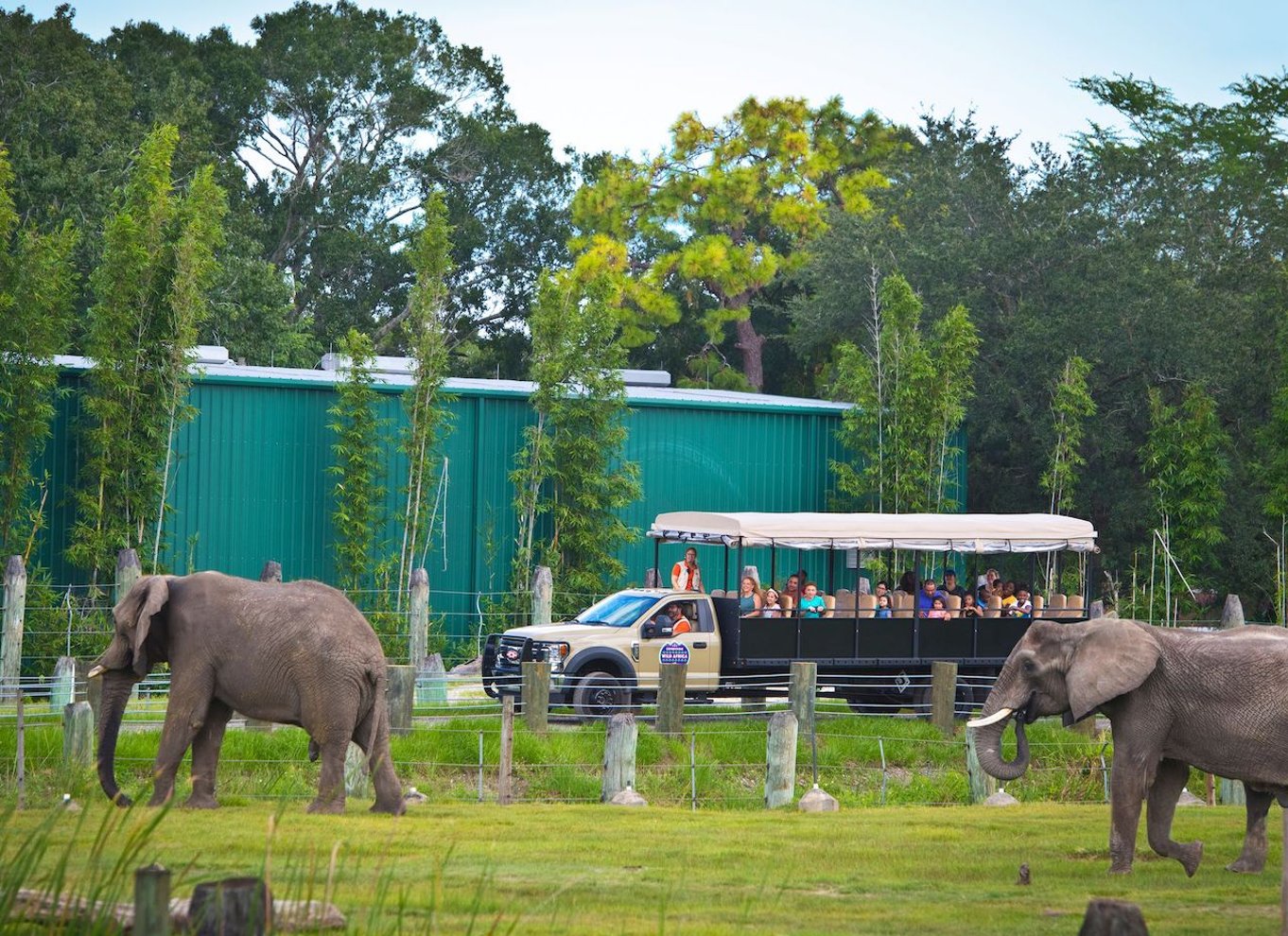 Tampa: Adgangsbillet til ZooTampa i Lowry Park