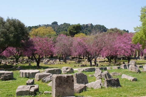 Van Athene: privé dagtocht naar het oude OlympiaTour met gelicentieerde gids