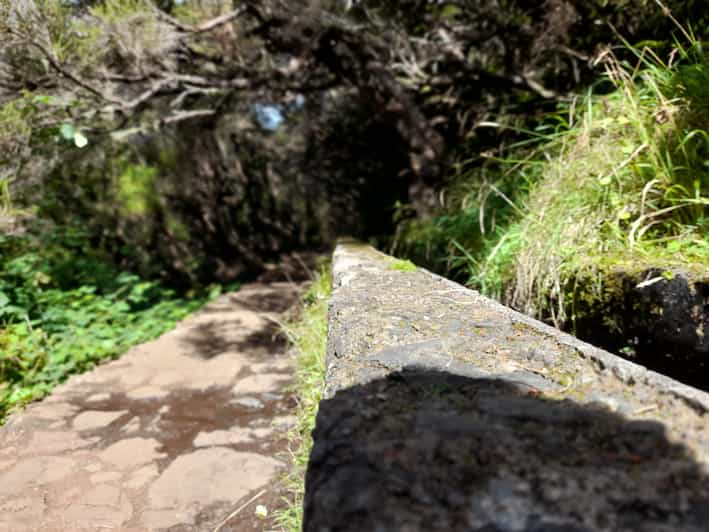 Madeira: Rabaçal Guided Levada Walk Private Group with Guide | GetYourGuide