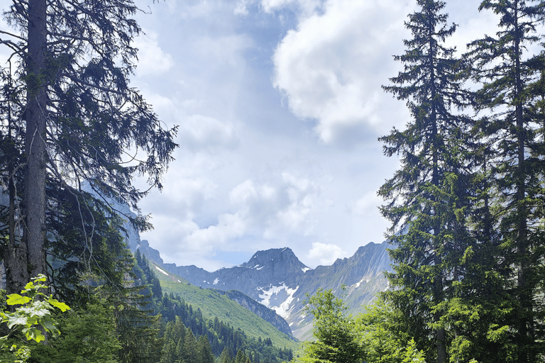 Zurich: Swiss Alps 7-Day Hiking Tour