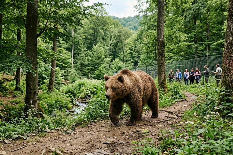 Bucharest: Dracula Castle, Bear Sanctuary & Medieval Brasov Entrance tickets: Dracula, Bear Sanctuary and Brasov