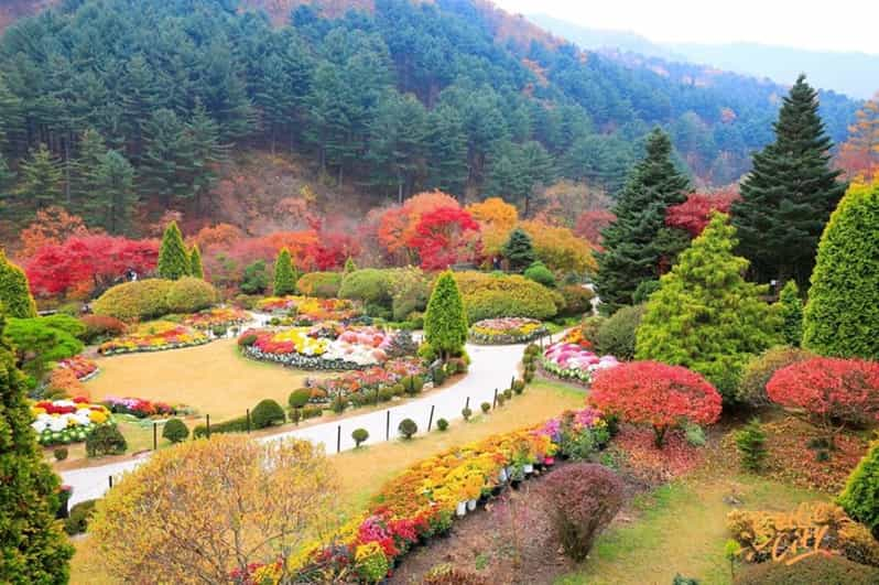 Desde Seúl: Nami Island y Gangchon Rail Bike Day Trip