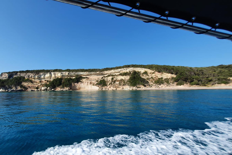 De Bonifacio : Visite guidée de l&#039;extrême sud et des LavezziAu départ de Bonifacio : excursion en bateau dans le parc national de Bonifacio