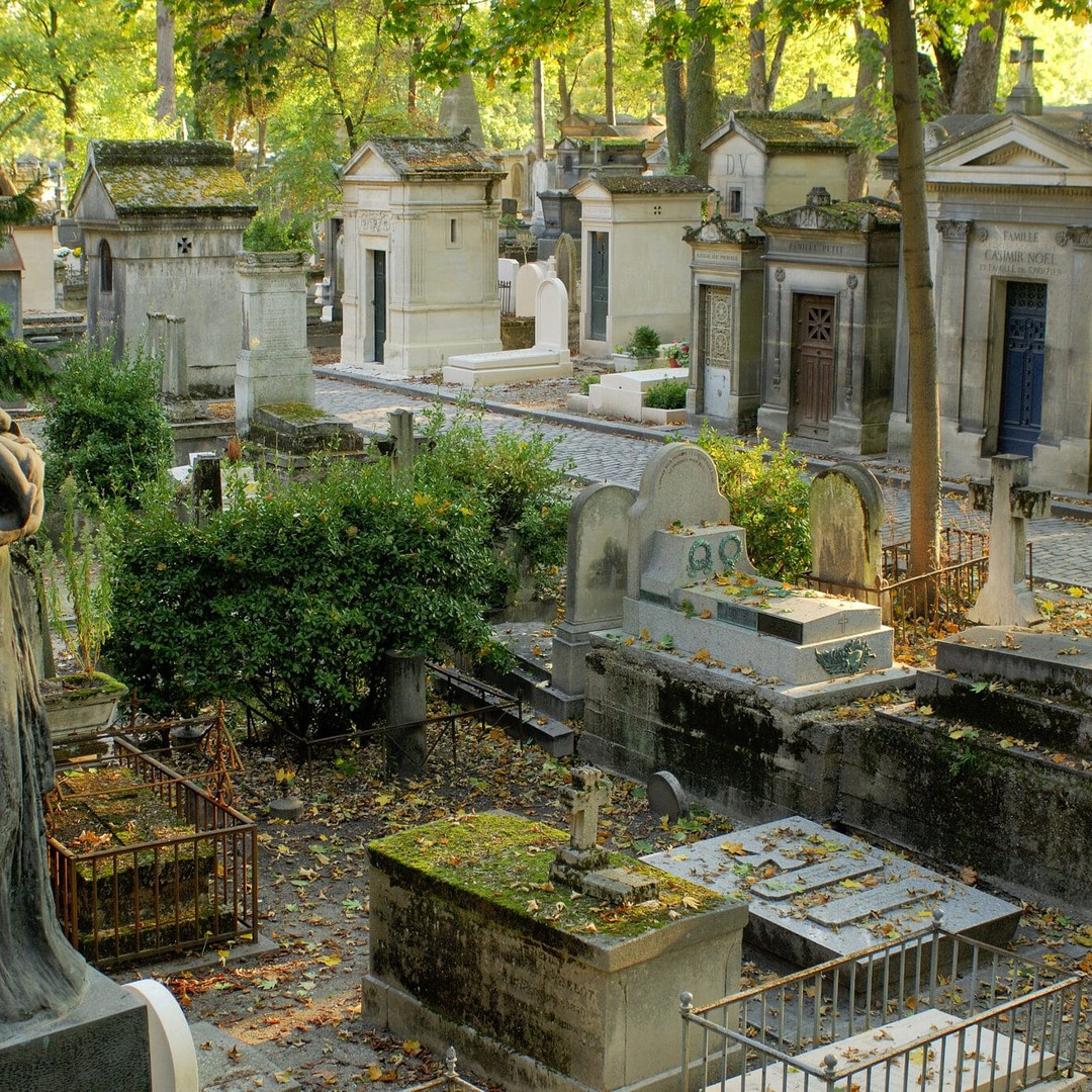 Galerie média