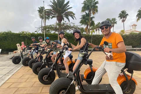 Maspalomas : Tour des dunes en scooter électrique 2 places / chameau en option