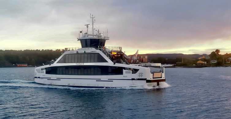 Oslo Fjord Sightseeing Cruise by Electric Boat