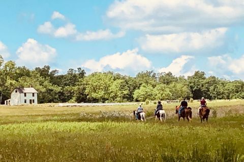 Gettysburg: Scenic Battlefield Horseback Riding Tour