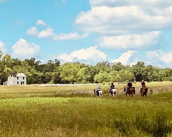Visit Gettysburg: Scenic Battlefield Horseback Ride in Gettysburg