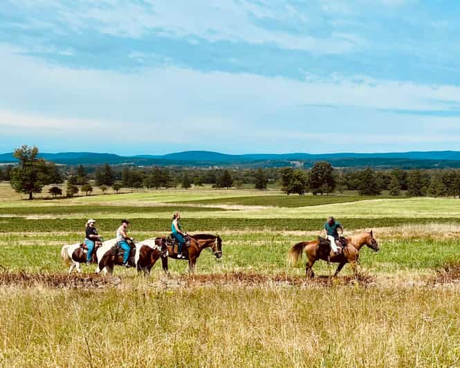 Gettysburg Scenic Battlefield Horseback Riding Tour GetYourGuide