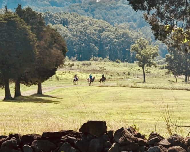 Gettysburg Scenic Battlefield Horseback Riding Tour GetYourGuide