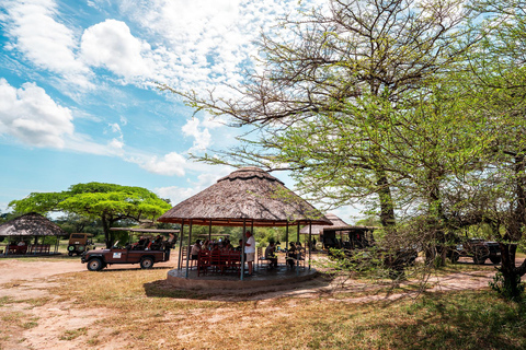 Von Sansibar aus: Selous G.R. Safari mit Übernachtung und Flügengemeinsame Safari