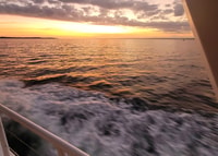 Phillip Island, Sunset Cruise - Housity