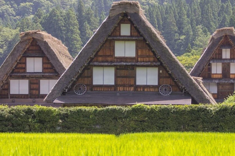 Tokyo: 7-Day Japan Highlights Private Guided Tour