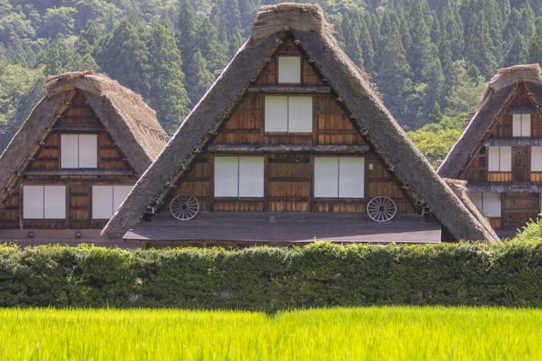 Tokyo: 7-Day Japan Highlights Private Guided Tour