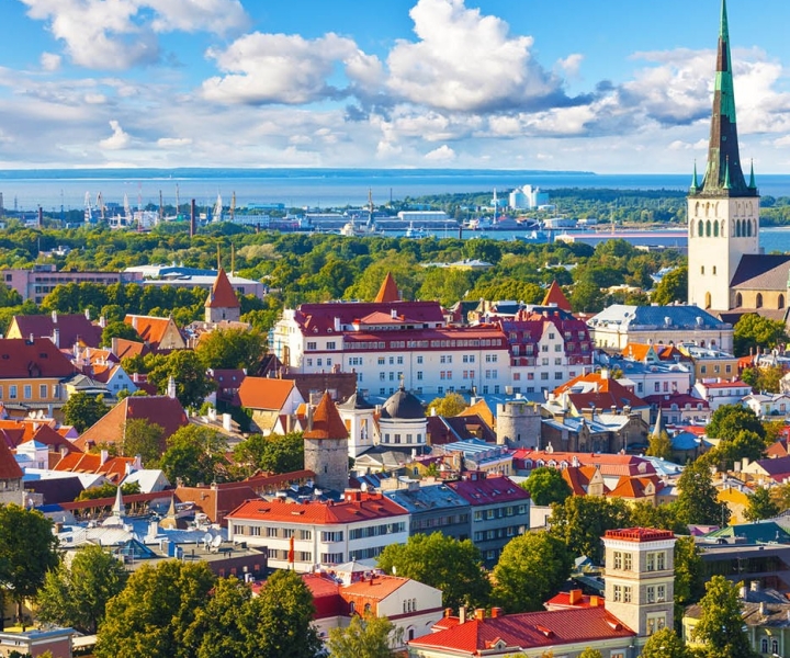 Helsinki: tour guidato di un giorno a Tallinn con attraversamento in traghetto