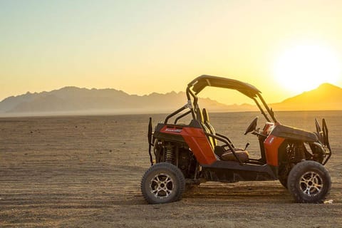 Hurghada: Buggy Safari Adventure With BBQ Dinner and Show