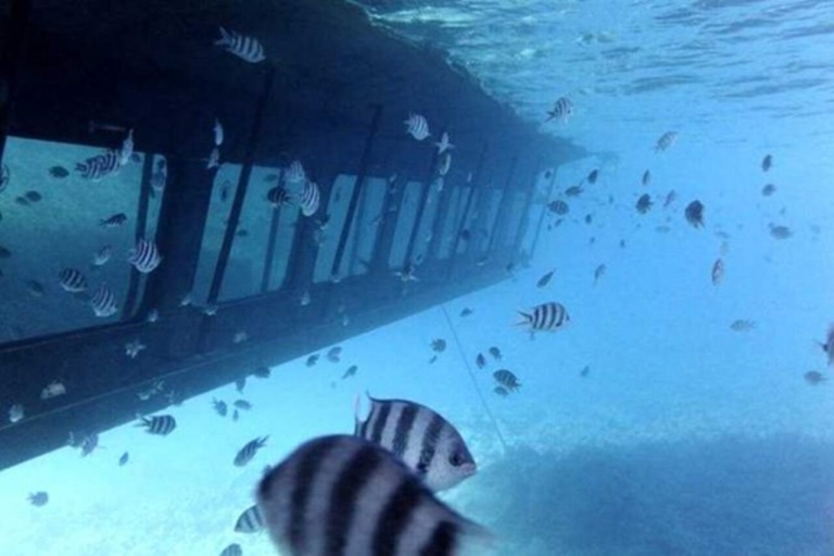 Au départ de Safaga ou de Soma Bay : Excursion en semi-sous-marin avec snorkeling